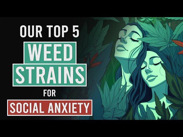 Our 5 Best Strains for Social Anxiety!