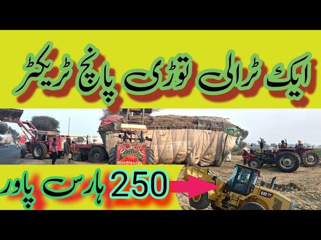 Tractor Stuck in Sand | پانچ ٹریکٹروں اور ایک فرنٹ لوڈر کے ساتھ بوسہ کے ٹرالے کو نکالنے کی کوشش