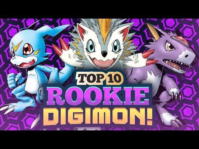 Top 10 Rookie Digimon!