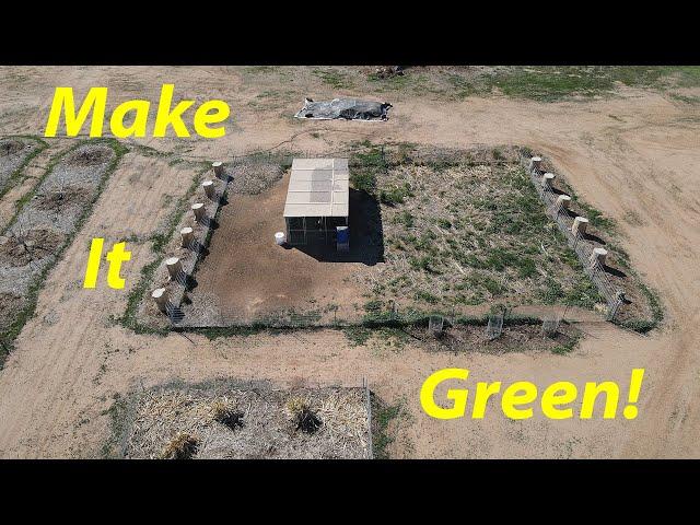 Building Desert Pasture For Turkeys | Always Build Soil