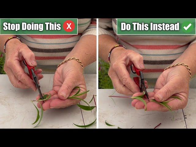 5 Propagation Mistakes I See & How To Propagate Successfully