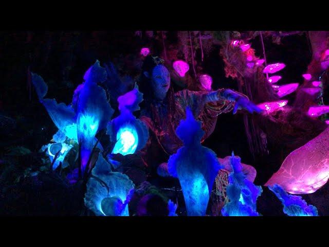 Avatar in Real Life! | Animal Kingdom | Disney World | Adventures with RVA