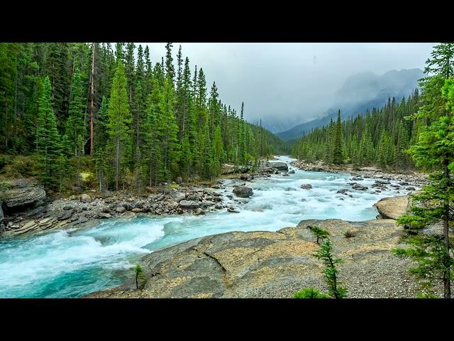 Beautiful Nature River flowing in Canada 4k. Relaxing River Sounds, Nature White Noise for Sleeping.