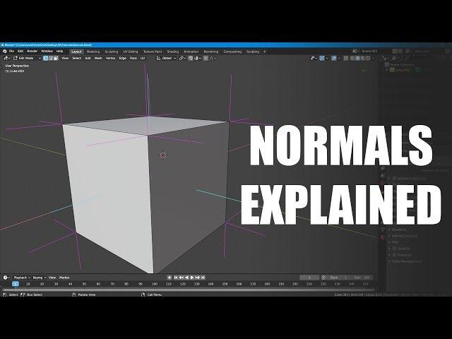 What Are Normals?