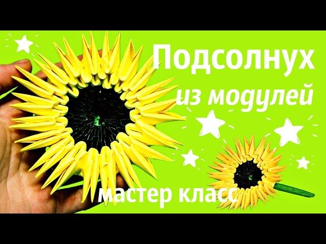 Подсолнух Из Модулей Своими руками | Модульное оригами | Мастер Класс