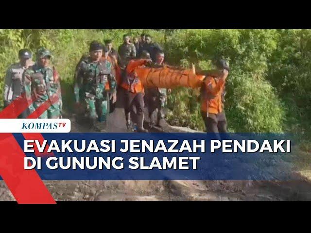 Penyebab Pendaki Gunung Slamet Tewas Jatuh ke Jurang