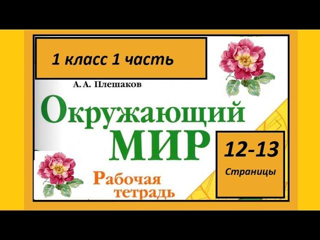 Окружающий мир 1 класс Что общего у разных растений? страница 12-13