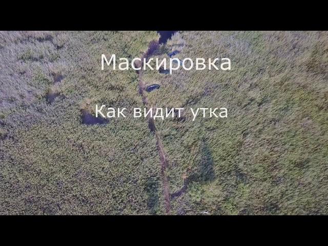 Как видит утка, маскировка на охоте. Лодка