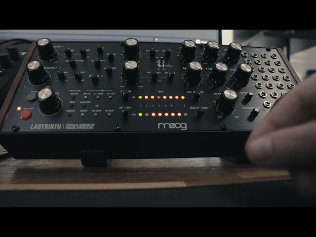 Moog Labyrinth - First Techno Encounter