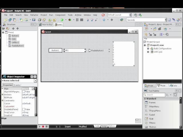 Delphi Programming Introduction to Training