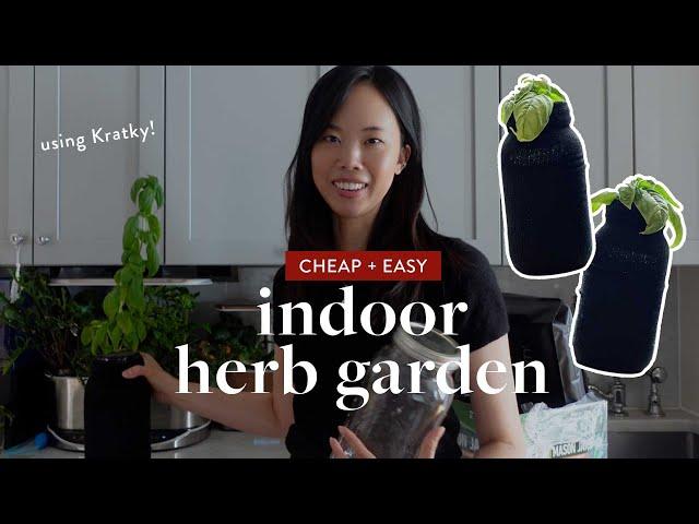 How to Make an Indoor Herb Garden Using Kratky Mason Jars (cheap + easy hydroponics)