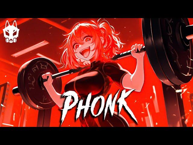 THE BEST AGGRESSIVE PHONK 2024 ※ BEST PHONK MUSIC PLAYLIST ※ GYM, AGGRESSIVE, FUNK ※ Фонк 2024 #016