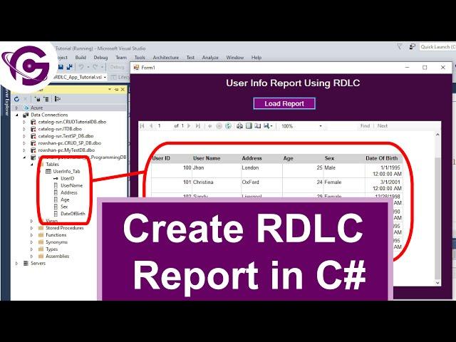 Create RDLC Report in C# with SQL Step By Step | ProgrammingGeek