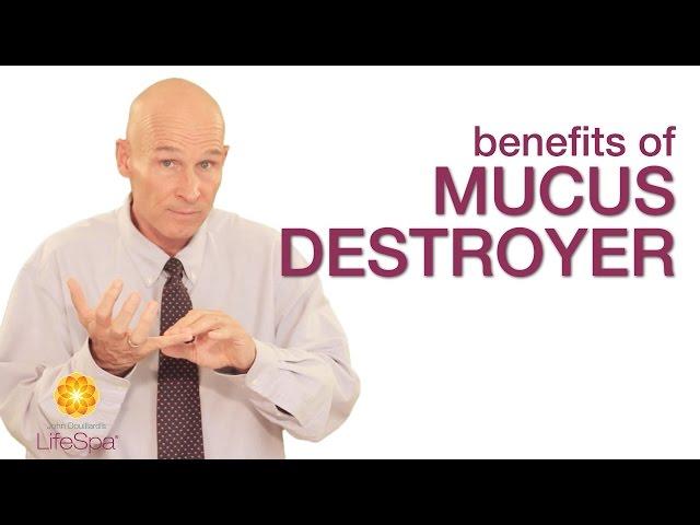 Benefits of Mucus Destroyer (Sitopaladi Churna) | John Douillard's LifeSpa