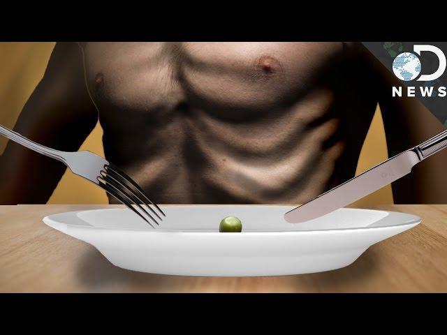 What Does Starvation Do To The Body?