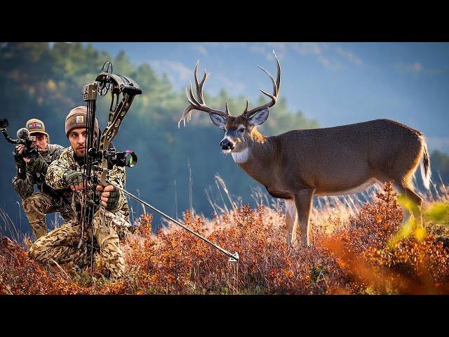 Chasing Bucks in the Mountains | November Spot and Stalk Hunt