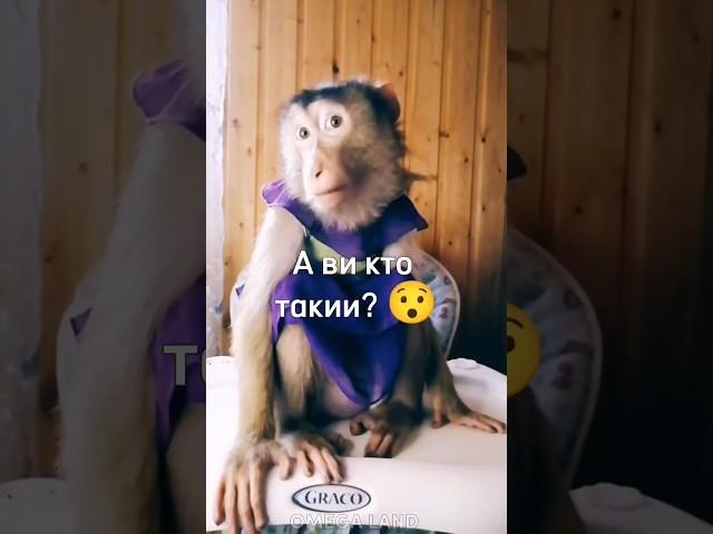 Мама, я хочу играть в роблокс  #а4 #майнкрафт #brother #monkey #rek #роблокс #tiktok #omega #браток