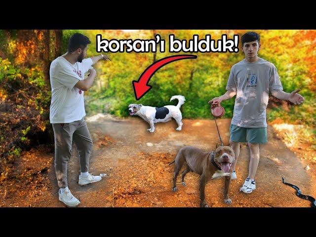 BOYKA İYİLEŞTİ ! - (KORSAN'I BULDUK)