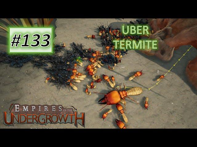 Empires of the Undergrowth #133: UBER Termite VS 3 Matabele ant colonies