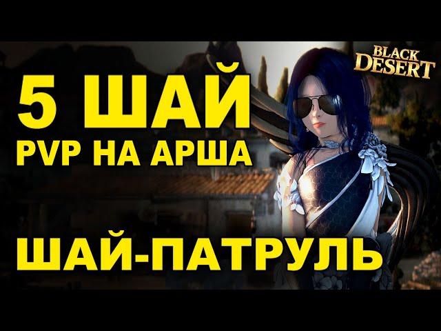 ШАЙ-ПАТРУЛЬ. Как 5 ШАЙ кошмарили сервер. ПВП на Арша в БДО (Black Desert Online - BDO)