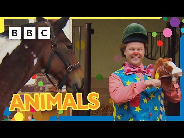 Mr Tumble Loves Animals!  |  +30 minutes | Mr Tumble and Friends