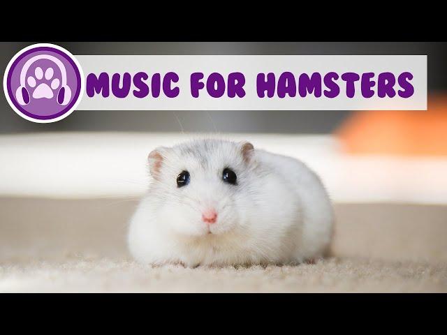 Music for Hamsters - Fast Acting Calming Music (TRIED & TESTED)