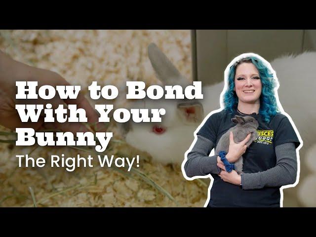 How to Bond With Your Bunny (The Right Way!) | Pisces Pets