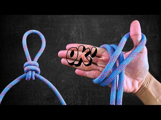 The Two Most Amazing Knot in our daily life!