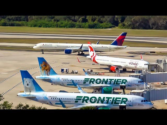 Holiday Rush Begins Spotting TPA