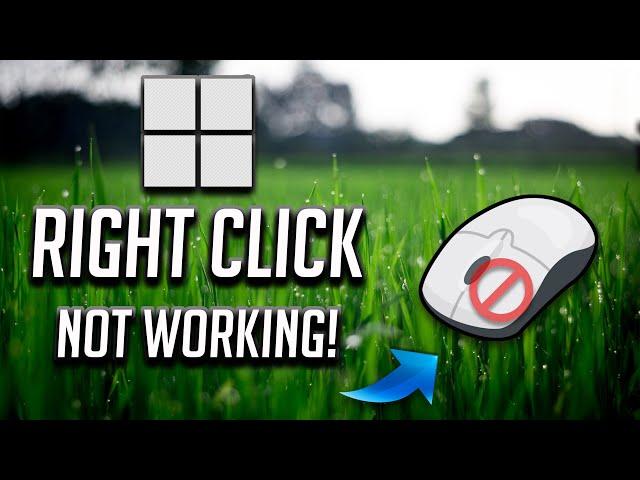 [Fixed] Mouse Right Click Not Working Issue On Windows 11/10