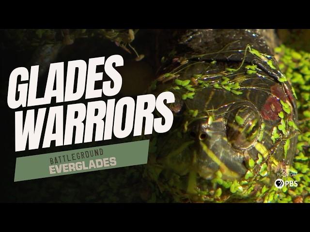 Guardians of The Glades: A Mission to Save Florida’s Waters | Battleground Everglades