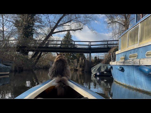 Caturday Kayaking with Louis  