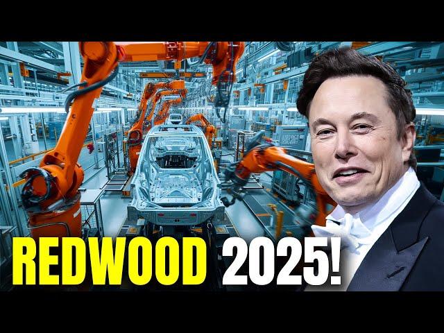 IT HAPPENED! Elon Musk Announces New Tesla Model 2 Project Redwood to Take Down BYD! Details HERE!