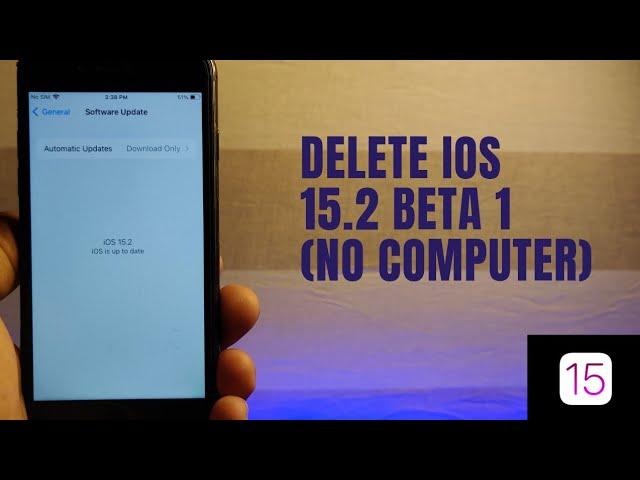 Delete iOS 15.2 Beta 1 Without Computer #iOS15