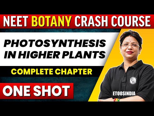 PHOTOSYNTHESIS IN HIGHER PLANTS in 1 shot - All Concepts, Tricks & PYQ's Covered | NEET | ETOOS