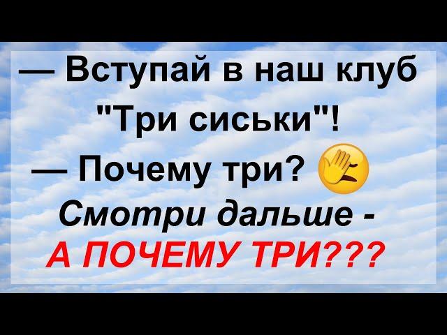 Смешные новые анекдоты. Свежак приколов. Истории из жизни!