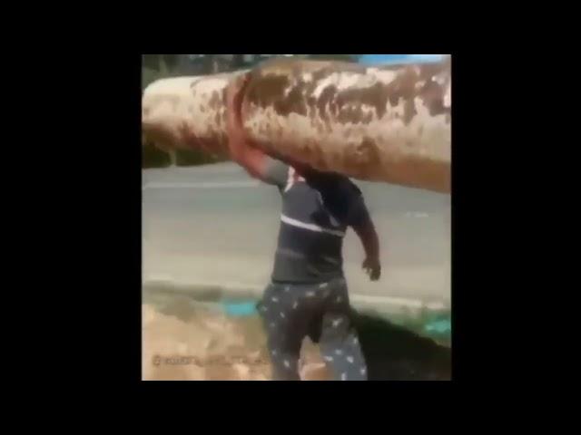 Man Carries Tree - Kratos Meme