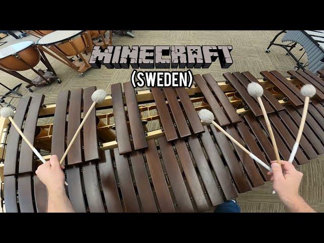 Cool Video Game Music on A Lot of Different Instruments!