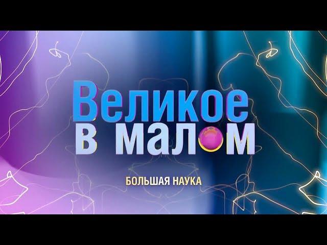 Великое в малом. Индивидуальное и общественное сознание