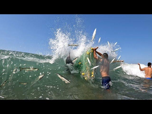 Increíble como estos hombres Pescan con Red de Arrastre Chinchorro