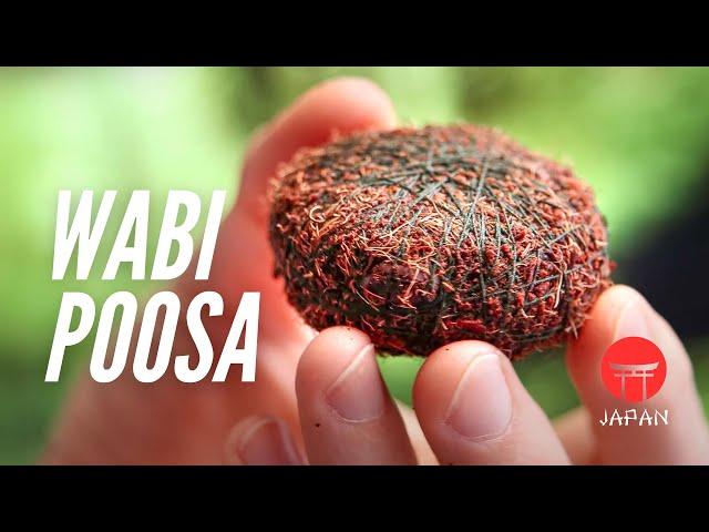 Wabi-Kusa Ball Done Right: Step-by-Step Tutorial