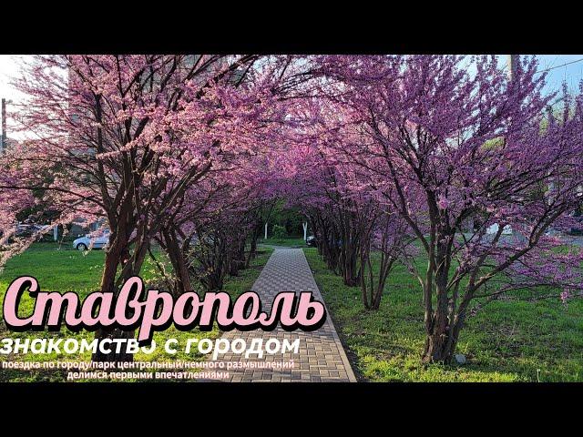 Ставрополь. Знакомство с городом.