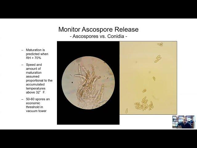 20 Feb 2024 Webinar on Using RIMpro Apple Scab, Fire Blight and Peach Brown Rot Prediction Models