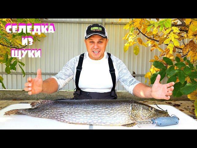 САМЫЙ ВКУСНЫЙ РЕЦЕПТ СЕЛЁДКИ ИЗ ЩУКИ от МИХАЛЫЧА! Пальчики оближешь!