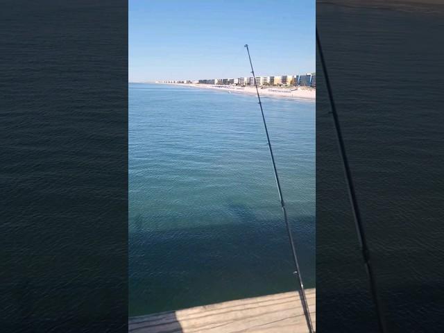 Beautiful day on the Gulf Coast! #okaloosaisland #destin  #saltwaterfishing #fishing #beach #follow