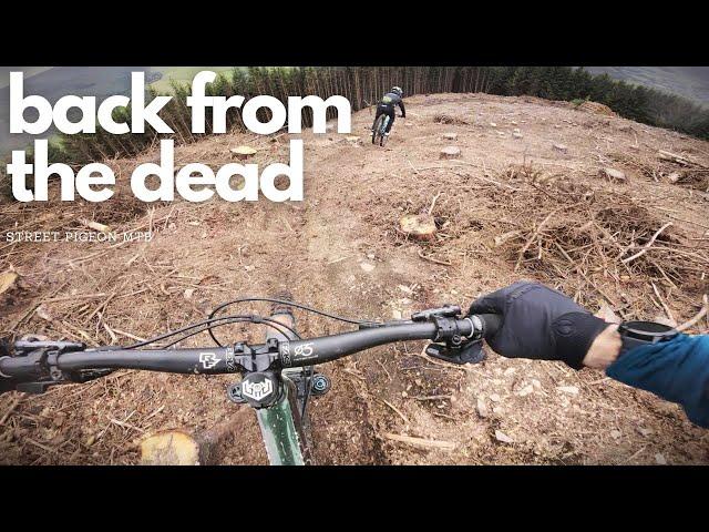 The UK MTB Trail That Refused to Die!