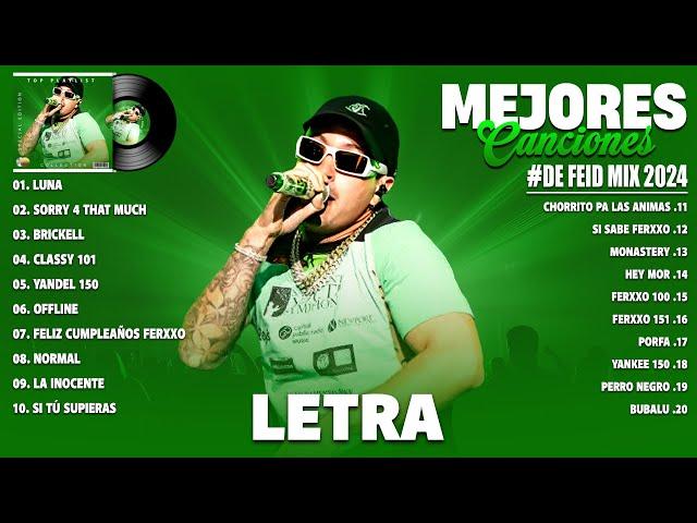 Feid 2024 (Letra/Lyrics) - Mejores Canciones de Feid - Grandes Éxitos De Feid - Mix Reggaeton 2024