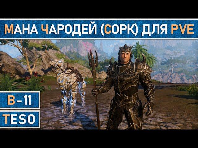 TESO: Мана чародей (Сорк) для PVE. Черный лес. Доступные вещи. Хороший урон. Очень подробный разбор.