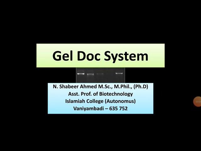 Visualization of DNA Bands in Gel doc system