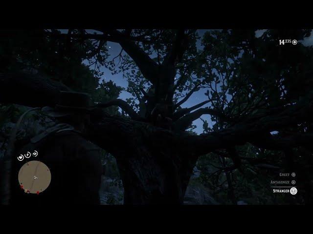 NPC | The tree hermit near Doverhill ("Poor or King Joe"): Arthur points his gun at him | RDR2